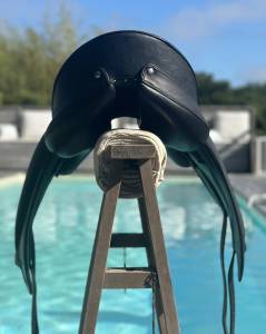 &Agrave; vendre &ndash; Selle Gaston Mercier Doline II noire &ndash; 16,5"