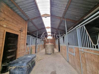 Propri&eacute;t&eacute; &eacute;questre sur 9 ha au Nord du Lot