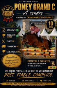 Domino poney c cso 