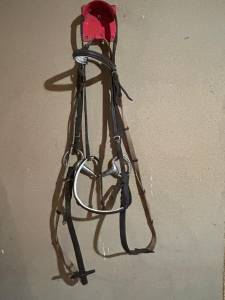 Filet &eacute;quitation complet cuir mors inox