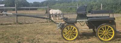 Voiture d'attelage Ginwoski 6 places &ndash; Freins &agrave; disque 