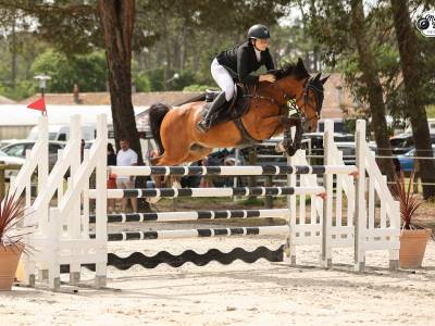Excellent Poney de Grand prix &agrave; vendre 