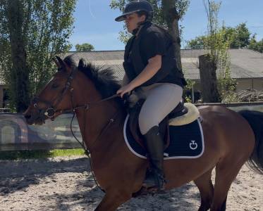 Ponette &agrave; vendre de 4 ans 
