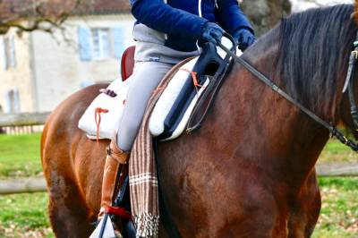 Selle Espagnole de vaquera