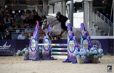 JUMENT DE 6 ANS PAR QUILVARO DE LYR