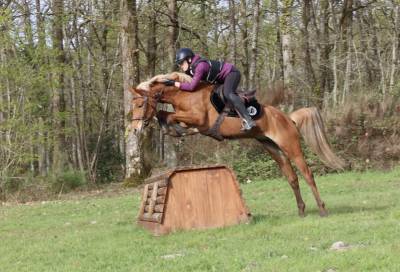 Ponette CO AS2/1 &agrave; louer ou vendre