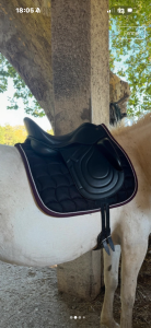 Selle Premier &Eacute;quine Dressage 