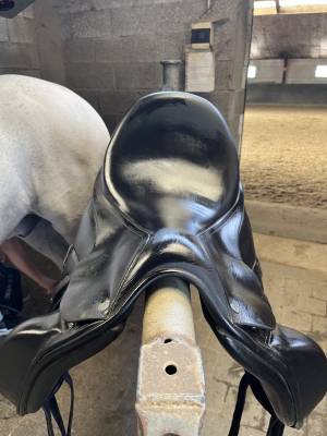 Selle Dressage Antares 