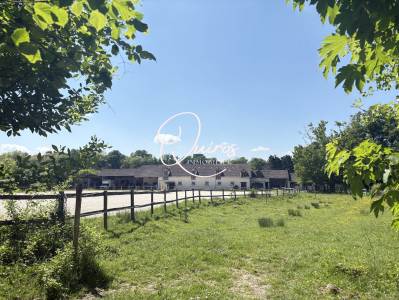 Propri&eacute;t&eacute; &eacute;questre - Fontainebleau - 6 hectares