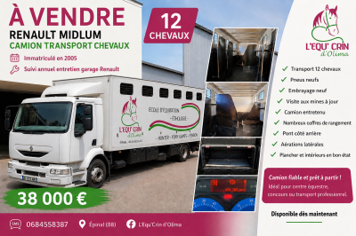 VENDS CAMION 12  PLACES CHEVAUX 456763 KM PNEUS NEUFS