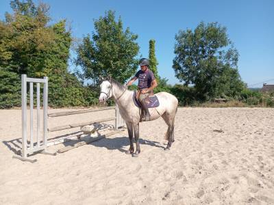 Ponette de 3ans &agrave; vendre