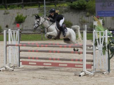 Poney de Sport - &eacute;preuves AS    17 000&euro;