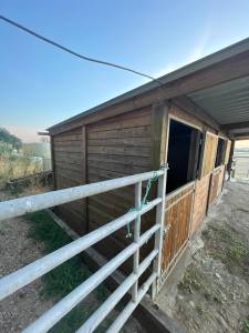 Boxes chevaux 