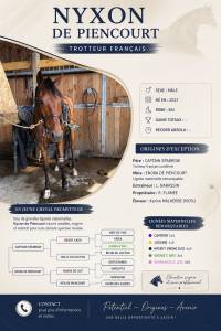 NYXON DE PIENCOURT - petit fils de ready cash