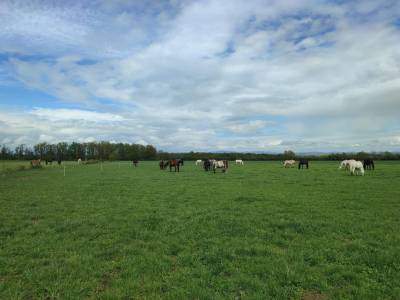 Pension longue distance 