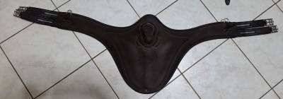 Sangle bavette anatomique Antares confort taille 135