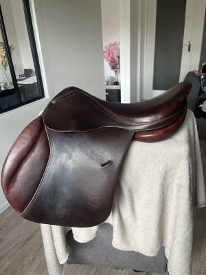 Selle forestier 