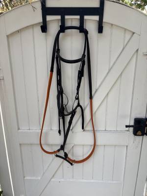 Vends filet pur-sang avec mors simple