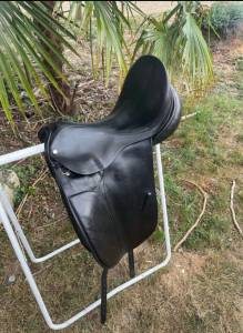 County dressage
