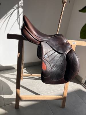 Selle bates victrix