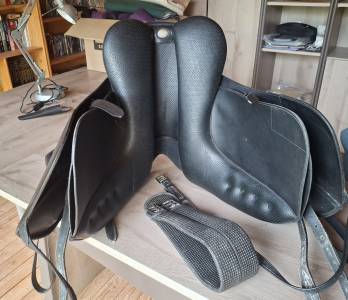 Selle de dressa Wintec Isabell Werth 17 pouces &eacute;quip&eacute;e 