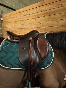 Selle Eric thomas kevin 17, 5 