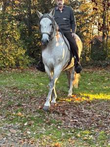 PURE rRACE ESPAGNOLE