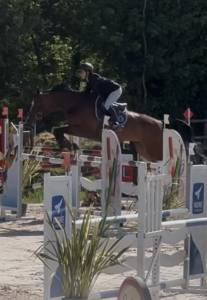 JUMENT Pr&eacute;nium CSO 125/130 - Balou du Rouet x Nonstop