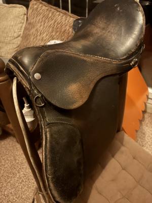 Selle shetland 