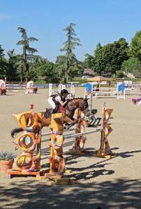 PFS Hongre 9 ans - P Elite As2