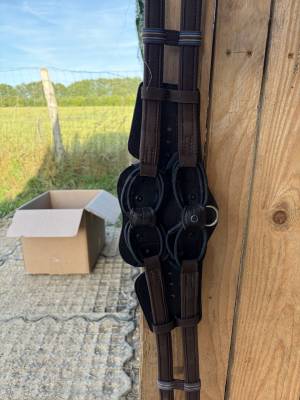 Sangle Equisoft de Stubben