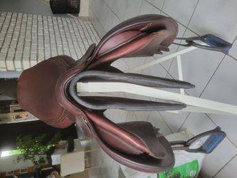 Selle gbs 