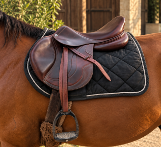Selle d&rsquo;obstacle CWD SE02 &ndash; 17&rdquo; &ndash; 2C &ndash; 2019