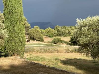  Demeure 300 m&sup2;, 3 ha, piscine, voisine &eacute;curies