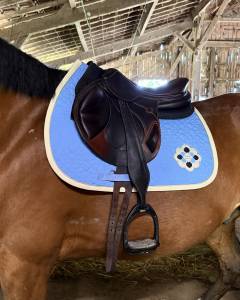 Selle Antares Contact monoquartier