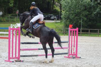 veste de concours   Harcour   taille M 
