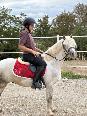Poney a vendre 