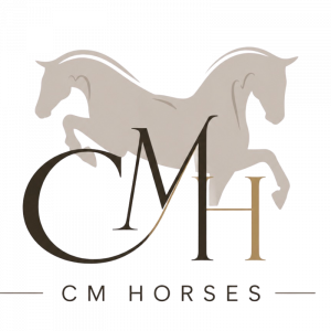 CM Horses – courtage chevaux de sport dressage & CSO