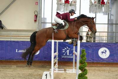 VICTOIRE MONTANA Z ? Jument Zangersheide de 4ans