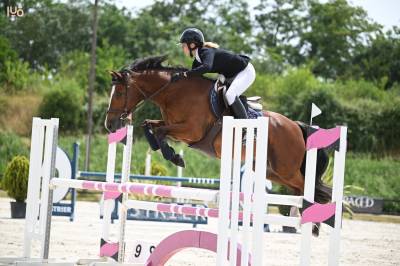 Poney D ma&icirc;tre d&rsquo;&eacute;cole, &agrave; louer
