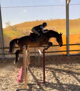 Cheval 8 ans bon moyen 