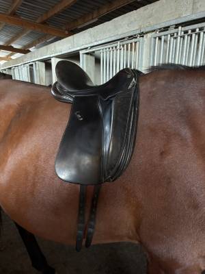Selle de dressage Majorman