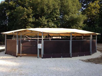 prix marcheur aquatique cheval