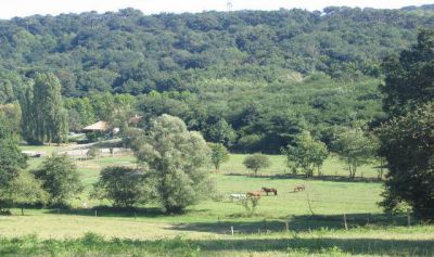Pensions pr&eacute;, pr&eacute; / box    Sud des Landes (40)