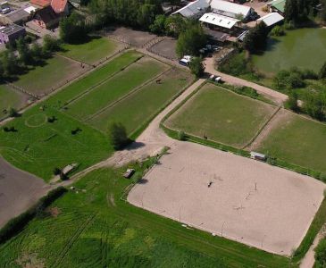 Pension LUDMANN cheval/poney/&eacute;talon