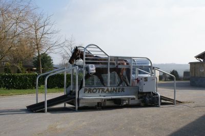 tapis marcheur chevaux