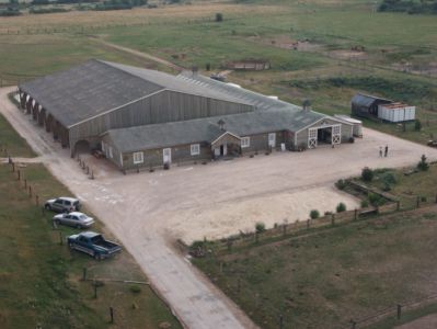 Pension propri&eacute;taire, Quarter Horse Dream 