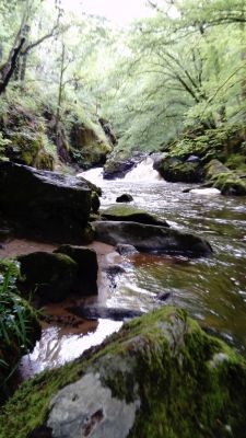 La Dordogne secr&eacute;te