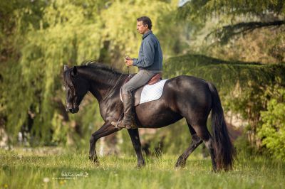 Alegria Relation de Complicit&eacute; - &eacute;quitation &eacute;thologique