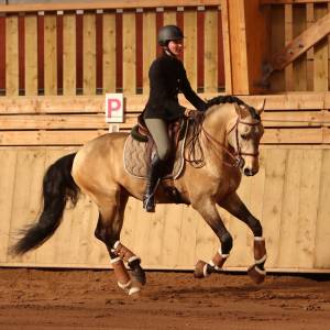 Saillie &eacute;talon Pur Sang Lusitanien Isabelle
